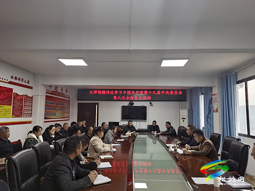 大坪場鎮(zhèn)傳達學(xué)習(xí)黨的十九屆六中全會精神