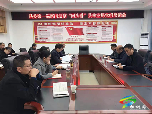 縣委第一巡察組向縣林業(yè)局反饋巡察“回頭看”情況