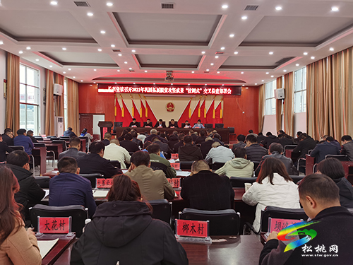 長興堡鎮(zhèn)開展鞏固拓展脫貧攻堅成果“拉網(wǎng)式”交叉檢查