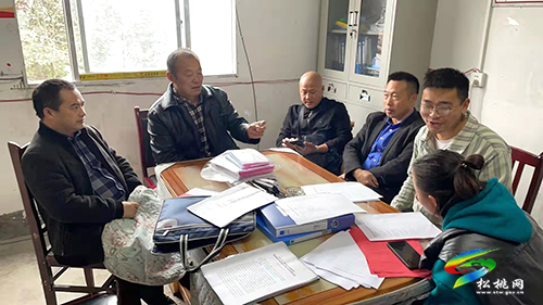 長興堡鎮(zhèn)開展鞏固拓展脫貧攻堅成果“拉網(wǎng)式”交叉檢查