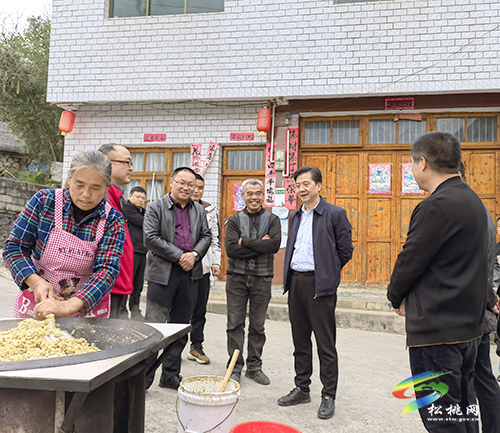 王飚到松桃督導(dǎo)調(diào)研鄉(xiāng)村振興、生態(tài)環(huán)境問題整改及畜禽養(yǎng)殖污染治理工作