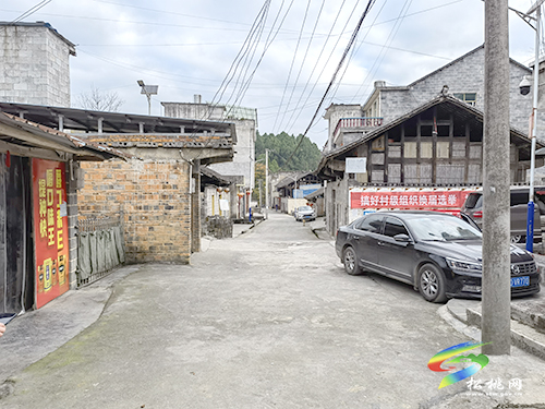 王飚到松桃督導(dǎo)調(diào)研鄉(xiāng)村振興、生態(tài)環(huán)境問題整改及畜禽養(yǎng)殖污染治理工作