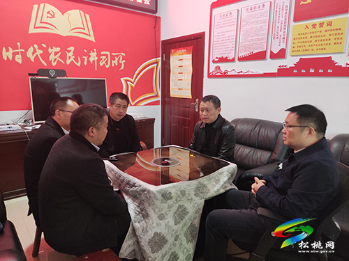 龍群躍到盤信正大調(diào)研指導(dǎo)鄉(xiāng)村振興、脫貧成果鞏固工作