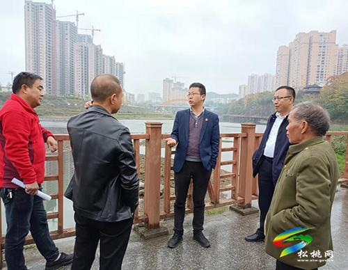 馬結(jié)華到蓼皋街道和寨英鎮(zhèn)調(diào)研