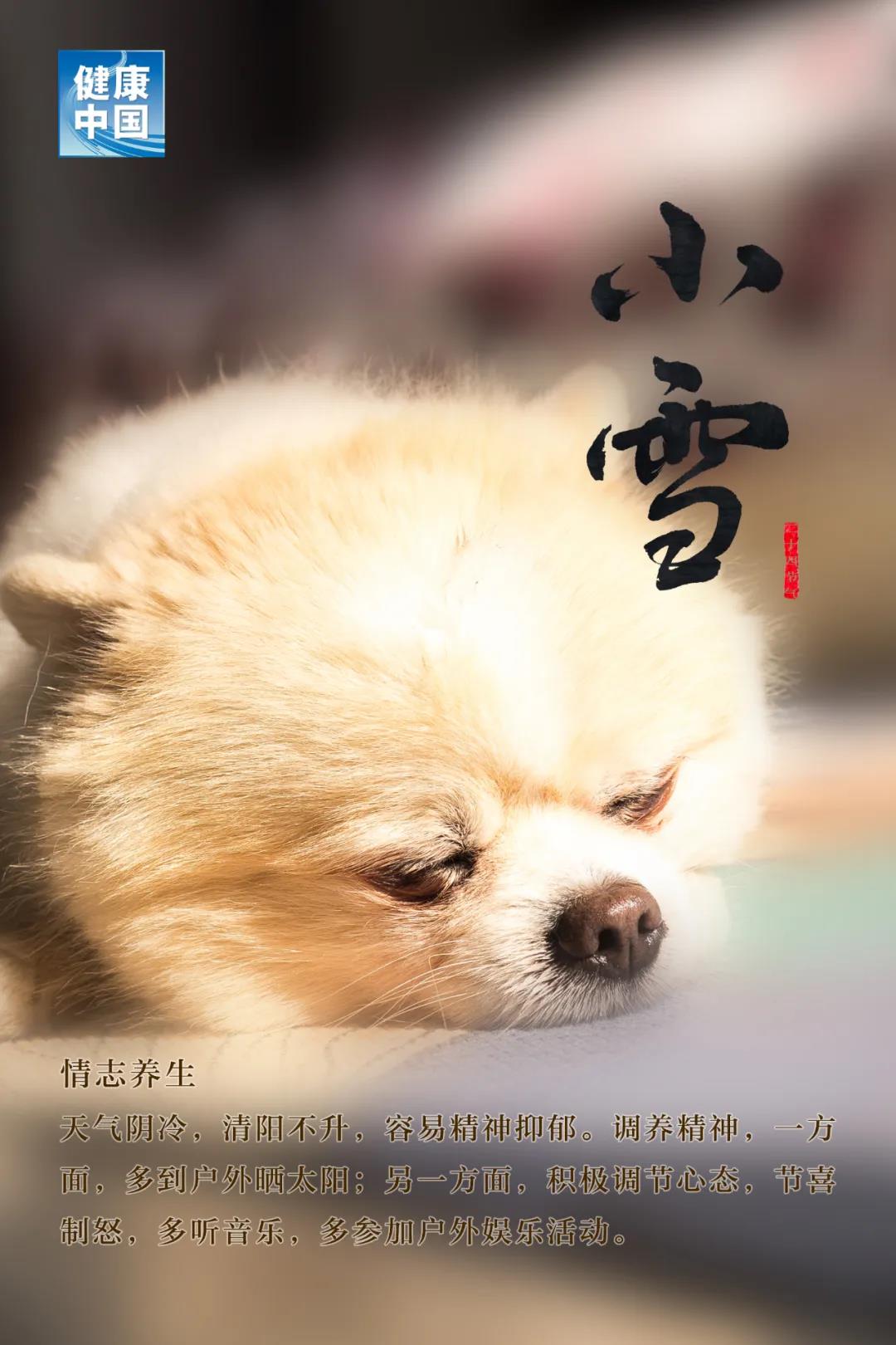 今日小雪，天愈冷，寒更甚！養(yǎng)生五要素，健康過(guò)好冬！