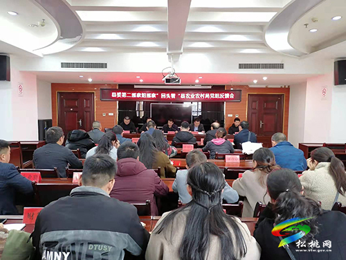 縣委第二巡察組向縣農業(yè)農村局黨組反饋巡察情況