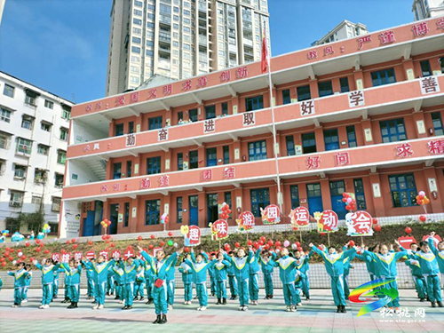 落實“雙減”強體魄，運動場上展風彩