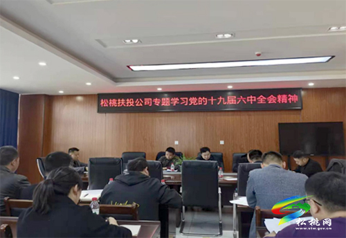 松桃扶投公司專題學習黨的十九屆六中全會精神