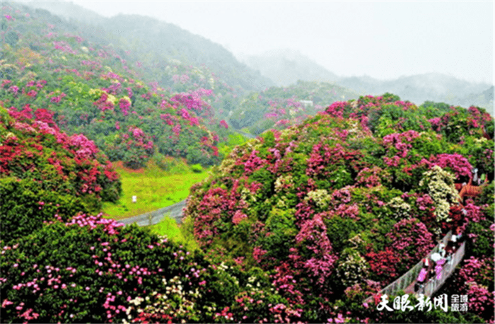 2021年玩轉(zhuǎn)多彩貴州,請收藏12個月主題旅行打卡清單!