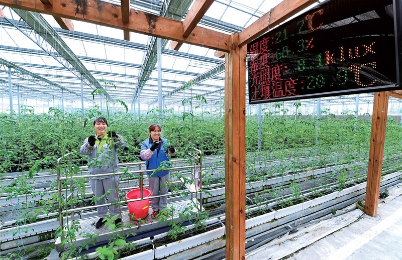 《貴在有理》貴州樣板系列四:貴州扶貧 乘云而上