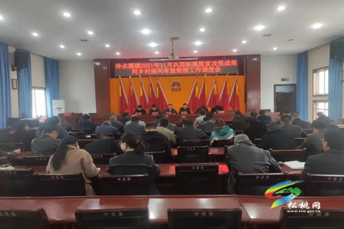 冷水溪鎮(zhèn)召開11月鞏固拓展脫貧攻堅成果同鄉(xiāng)村振興有效銜接工作調(diào)度會
