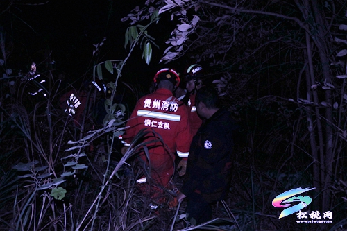 男子遭野豬襲擊被困山上松桃消防緊急救援
