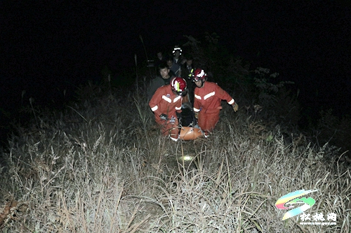 男子遭野豬襲擊被困山上松桃消防緊急救援