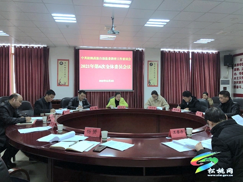 中共松桃苗族自治縣委教育工作委員會2021年第六次委員會議召開