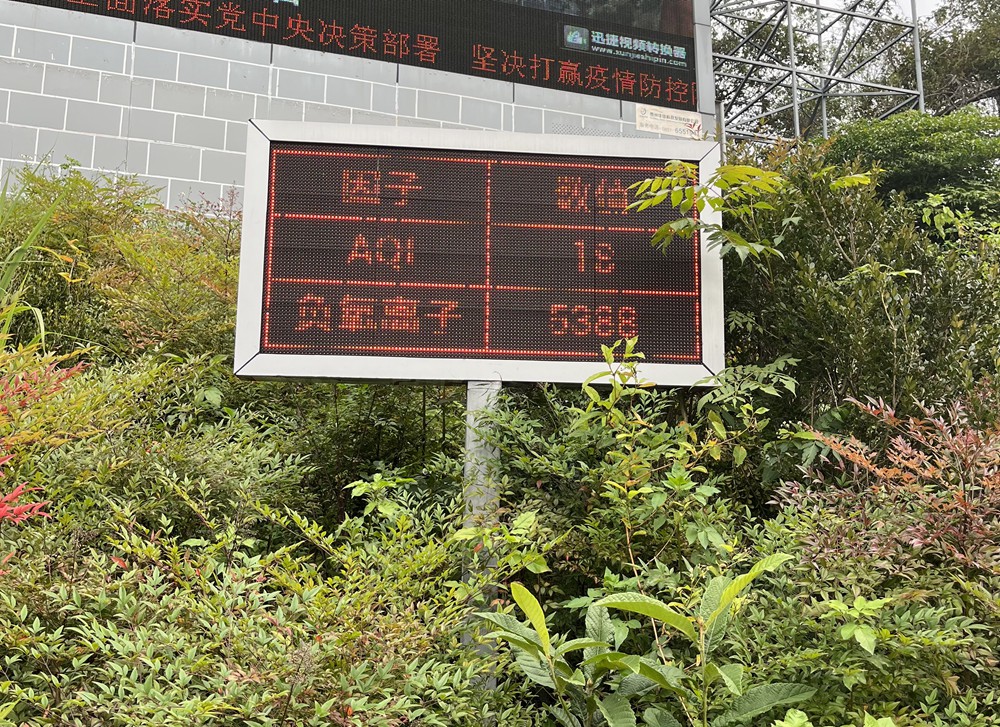 風景名勝區(qū)遞出環(huán)?！靶旅宝螯S果樹景區(qū)負氧離子濃度遠超“空氣清新”最高標準