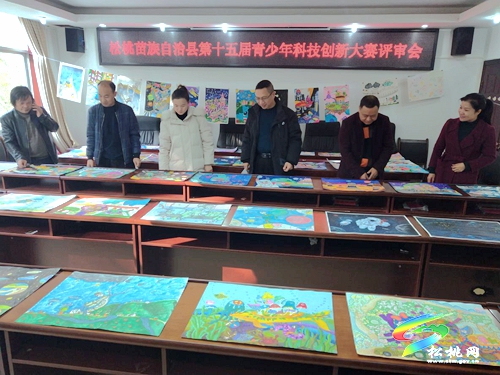 松桃開展第十五屆青少年科技創(chuàng)新大賽評審會