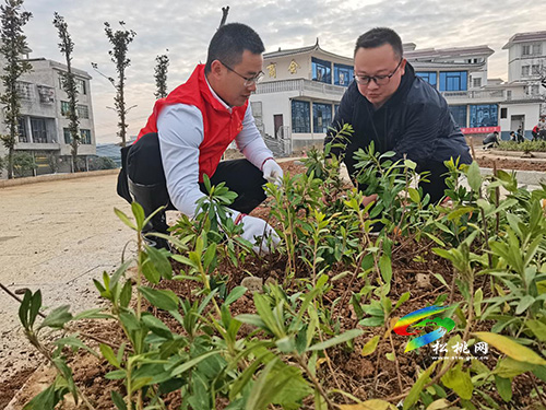 【我為群眾辦實(shí)事】盤信鎮(zhèn)：積極踐行初心使命，努力建設(shè)宜居環(huán)境