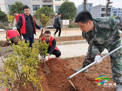 【我為群眾辦實(shí)事】盤信鎮(zhèn)：積極踐行初心使命，努力建設(shè)宜居環(huán)境