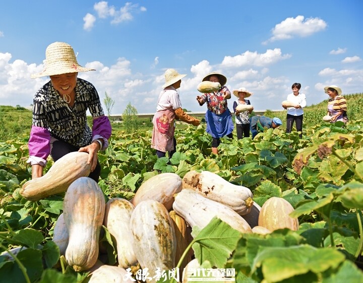 《貴州日?qǐng)?bào)》刊登乾興平文章：衷心擁護(hù)“兩個(gè)確立” 忠誠(chéng)踐行“兩個(gè)維護(hù)”｜寫在全省上下深入學(xué)習(xí)宣傳貫徹黨的十九屆六中全會(huì)精神之際