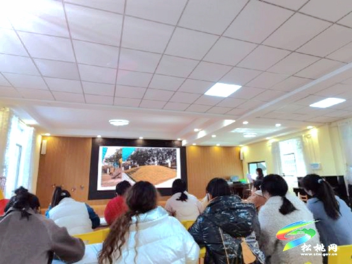 孟溪幼兒園2021年秋季學(xué)期安吉放手游戲三級(jí)培訓(xùn)