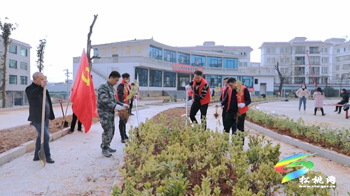 【我為群眾辦實事】盤信鎮(zhèn)：植樹添新綠　努力建設(shè)宜居環(huán)境