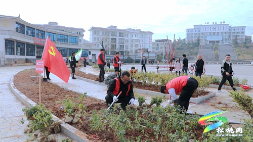 【我為群眾辦實事】盤信鎮(zhèn)：植樹添新綠　努力建設(shè)宜居環(huán)境