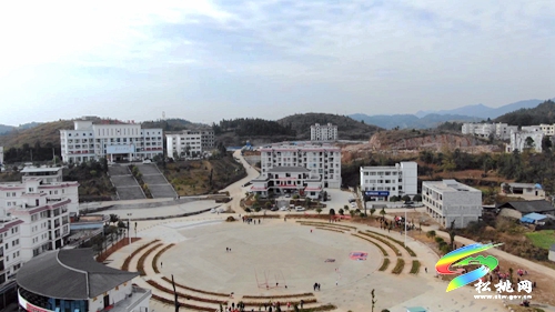 【我為群眾辦實事】盤信鎮(zhèn)：植樹添新綠　努力建設(shè)宜居環(huán)境