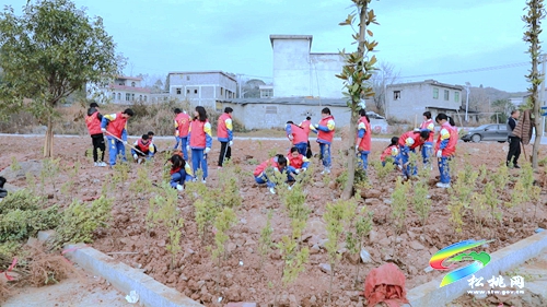 【我為群眾辦實事】盤信鎮(zhèn)：植樹添新綠　努力建設(shè)宜居環(huán)境