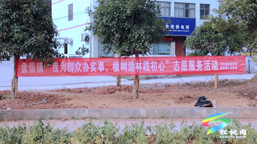 【我為群眾辦實事】盤信鎮(zhèn)：植樹添新綠　努力建設(shè)宜居環(huán)境