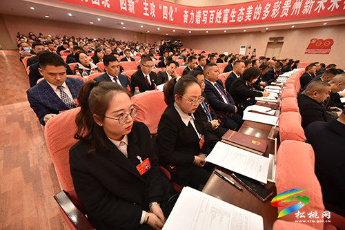 【聚焦“兩會(huì)”】松桃苗族自治縣第十七屆人民代表大會(huì)第一次會(huì)議代表培訓(xùn)會(huì)召開
