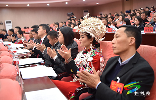 【聚焦“兩會(huì)”】松桃苗族自治縣第十七屆人民代表大會(huì)第一次會(huì)議預(yù)備會(huì)議召開