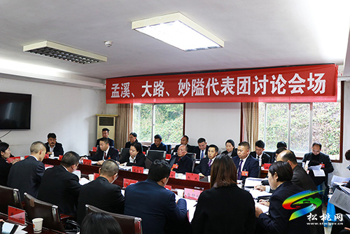 ​【聚焦“兩會”】謀發(fā)展 話民生:人大各代表團開展分組討論