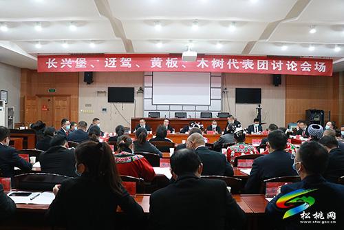 ​【聚焦“兩會”】謀發(fā)展 話民生:人大各代表團開展分組討論