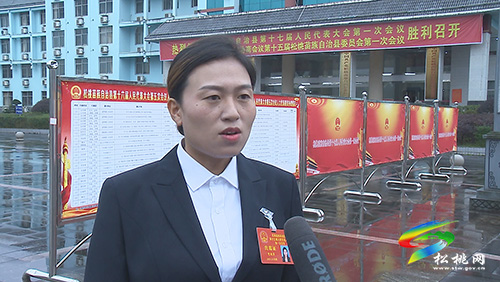 ​【聚焦“兩會”】謀發(fā)展 話民生:人大各代表團開展分組討論