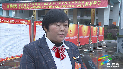 ​【聚焦“兩會”】謀發(fā)展 話民生:人大各代表團開展分組討論