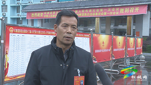 ​【聚焦“兩會”】謀發(fā)展 話民生:人大各代表團開展分組討論