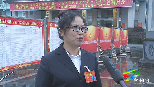 ​【聚焦“兩會”】謀發(fā)展 話民生:人大各代表團開展分組討論