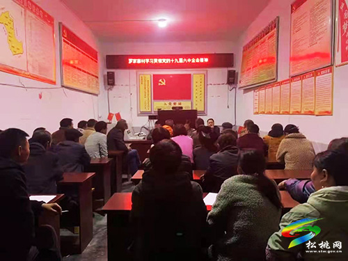​【學(xué)習(xí)貫徹六中全會(huì)精神】寨英鎮(zhèn)三舉措貫徹落實(shí)黨的十九屆六中全會(huì)精神