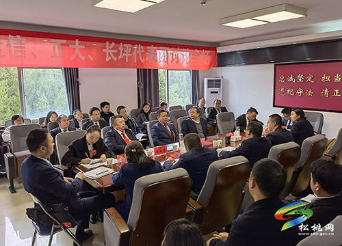 ​【聚焦“兩會”】受鼓舞　表決心——人大各代表團開展分組討論