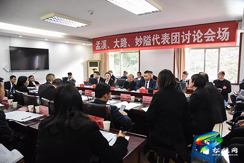 ​【聚焦“兩會”】受鼓舞　表決心——人大各代表團開展分組討論