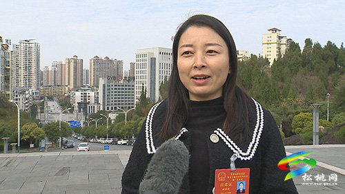​【聚焦“兩會”】受鼓舞　表決心——人大各代表團開展分組討論