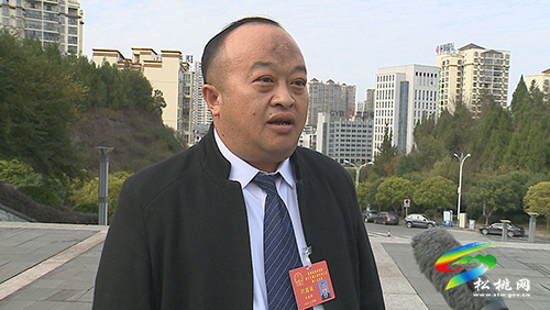 ​【聚焦“兩會”】受鼓舞　表決心——人大各代表團開展分組討論