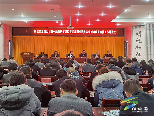 松桃召開統(tǒng)一戰(zhàn)線隊(duì)伍建設(shè)暨民族團(tuán)結(jié)進(jìn)步示范創(chuàng)建成果鞏固工作推進(jìn)會(huì)