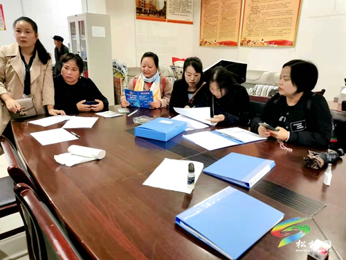 松桃：創(chuàng)新之舉有效銜接鞏固與振興