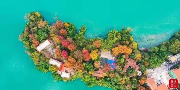 聚焦黨代會·報告解讀 | 綠色發(fā)展高地展現(xiàn)蓬勃生機(jī)