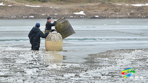 松桃：雪地捕魚　迎新年
