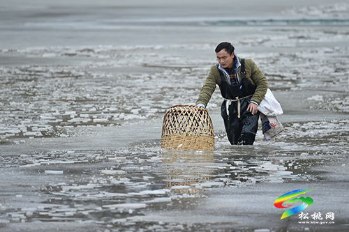 松桃：雪地捕魚　迎新年
