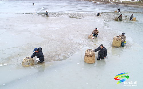 松桃：雪地捕魚　迎新年