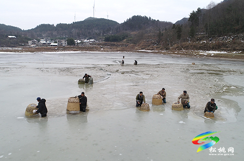 松桃：雪地捕魚　迎新年