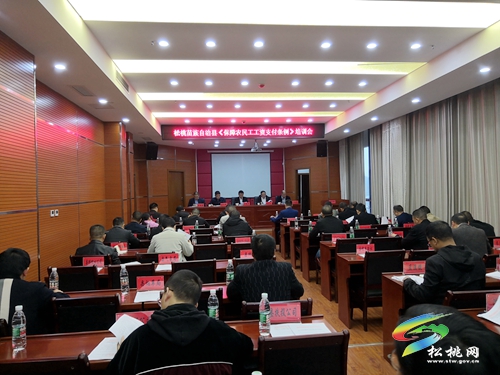 松桃實(shí)施“四大工程”惠民增效